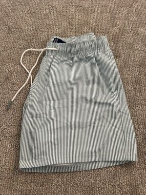 Striped Drawstring Swim Shorts - Light Green & White, L NWOT
